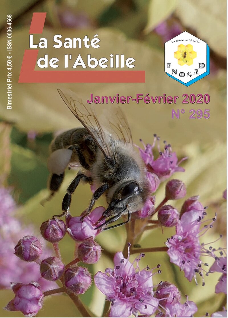 Abeille sur fleur