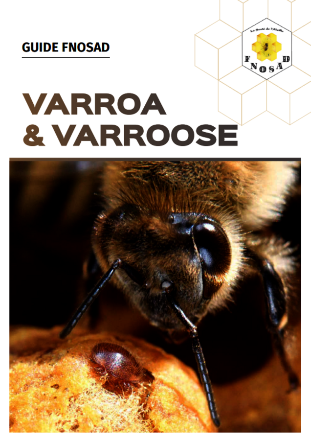 Guide Varroa et Varroose